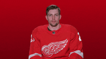 Red Wings Sport GIF by Detroit Red Wings