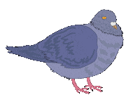 Bird Bouncing Sticker by Brendari