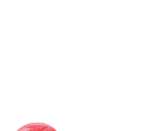 yumearthinternational yumearth besteverlollipop Sticker