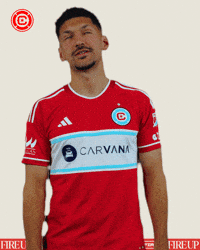 Chicago Fire Ugh GIF by Chicago Fire Football Club