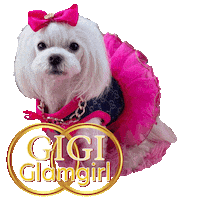 Cocker Spaniel Cute Dog Sticker by Pimp Yo Pets