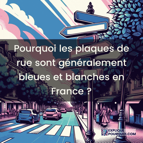 France GIF by ExpliquePourquoi.com