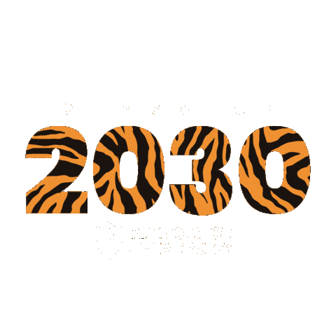 Princeton 2030 Sticker by Princeton University