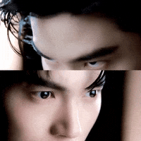 Scarlet Heart Win GIF