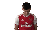 arsenal football soccer celebrate goal Sticker