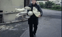 GIF by Alex Boya