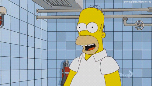 homer simpson simpsons GIF