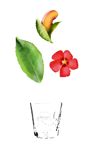 Black Tea Cheers Sticker by Coca-Cola Nederland