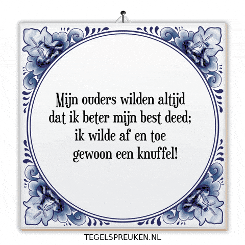 Humor Nl GIF by Tegelspreuken.nl
