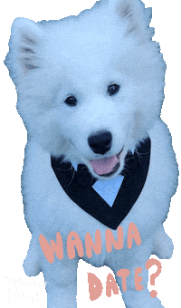 Puppy Valentine Sticker