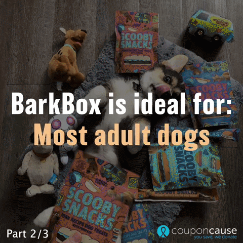 Dog Subscription Box GIF by Coupon Cause