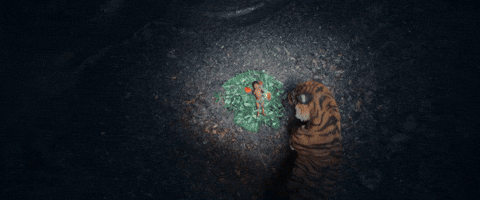 Kantara GIF by Hombale Films