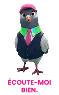 planetcomfr hello french pigeon salut Sticker