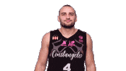 Sport Basketball Sticker by BC Athletic