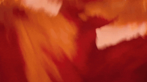Music Video GIF by Taylor Swift