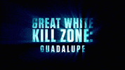 Discovery Greatwhitekillzone GIF by Shark Week