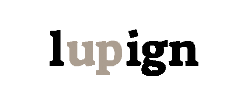 lupign giphyupload graphic design visual design lupign Sticker