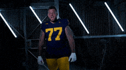Go Blue Michigan Football GIF by Michigan Athletics
