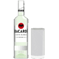 Party Festival Sticker by Bacardi