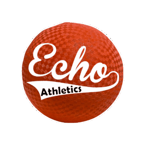 Echo Kickball Sticker by echoathletics