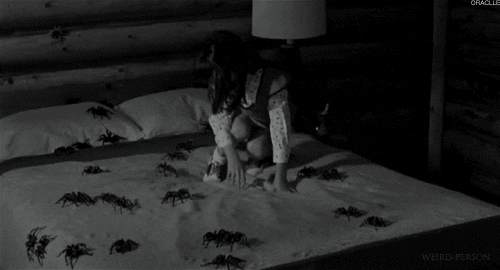 horror spider GIF