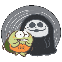 Turtle Tortoise Sticker