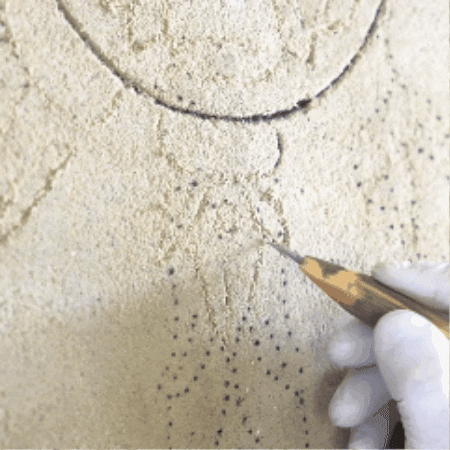 Artemisiaformation giphygifmaker GIF