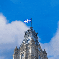 Heart Love GIF by Assemblée nationale du Québec