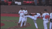 BeaverBaseball baseball ncaa oregon state michael conforto GIF
