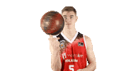 Liga Endesa Spinning Sticker by ACB