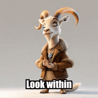 GIF by Radiantelope