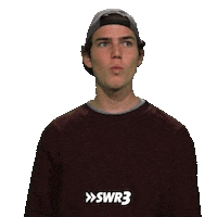 Well Done Lol Sticker by SWR3