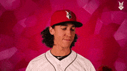 The Bachelor Love GIF by Indianapolis Indians