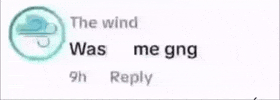 The Wind GIF