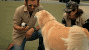 Here You Go GIF by Dierks Bentley