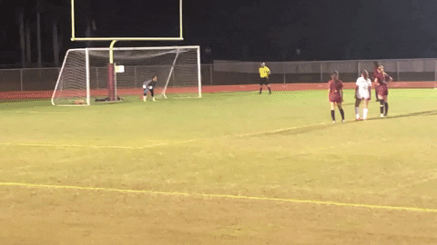 davidalopez7112 giphyupload GIF