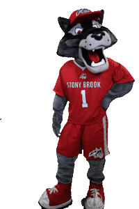 Stony Brook Sticker by Stony Brook University