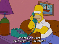 homer simpson GIF