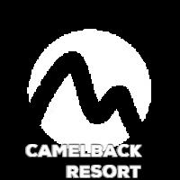 Ski Snowbaord GIF by Camelback Resort