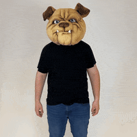 MUGRootBeer dog hi wave mug GIF