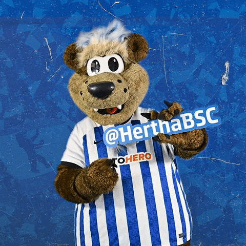 Bundesliga Berlin GIF by Hertha BSC