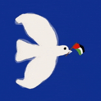 Peace Palestine GIF by Barbara Pozzi