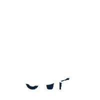 Hot Air Balloon Sticker by United We Fly