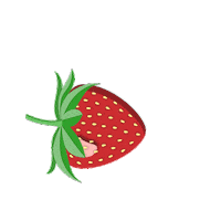 Strawberry Sommer Sticker by Rotbaeckchensaft