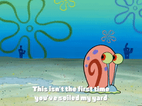 season 4 episode 13 GIF by SpongeBob SquarePants