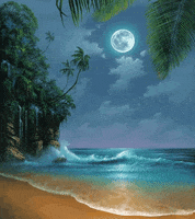 hawaii GIF