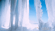 america wild GIF by Go USA Jp