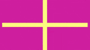 Art Video GIF by jorgemariozuleta