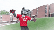 College Sports Spinning GIF by Clark University