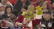 National Football League GIF by NFL